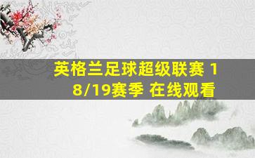 英格兰足球超级联赛 18/19赛季 在线观看